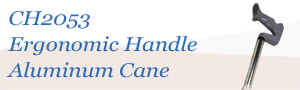 Ergonomic Handle Cane Tag